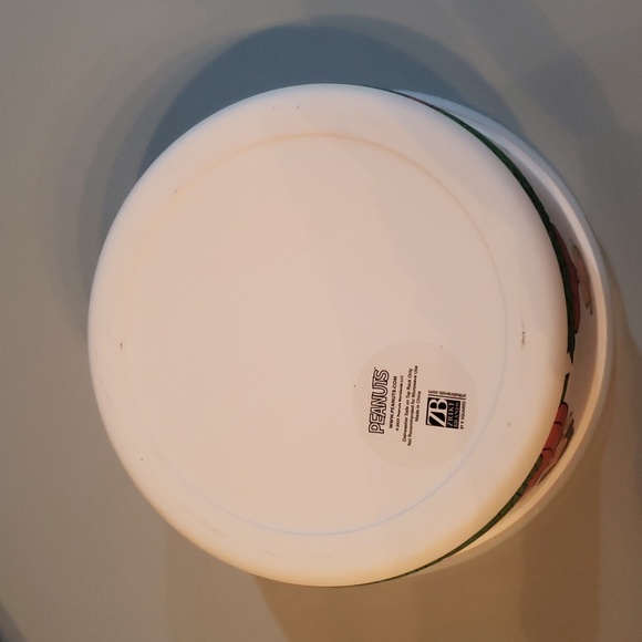 Peanuts character great pumpkin bamboo fibre bowl with lid NWT - Picture 5 of 6